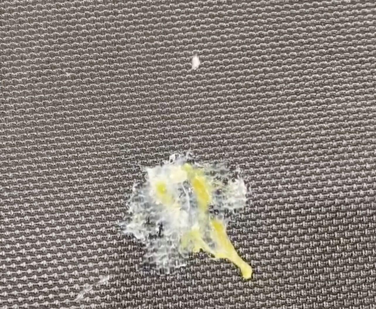 度主办方临, 出去, img 度主办方临, 出去, img